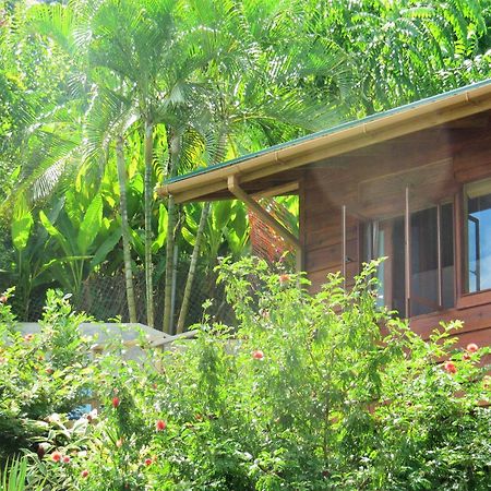 Castara Retreats Leilighet Rom bilde